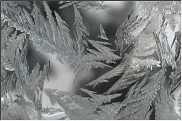 Frost