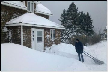 Edie in the Snow