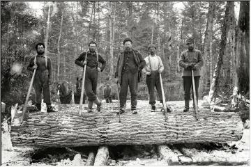 Lumberjacks