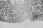 Low visibility