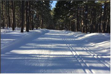 Swedetown skiing