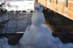 Frosty at the falls