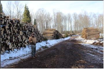 Winter logging