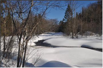 Peaceful river