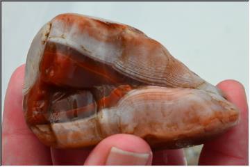 Amazing Agate
