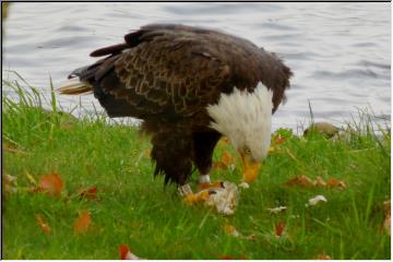 Lunchtime