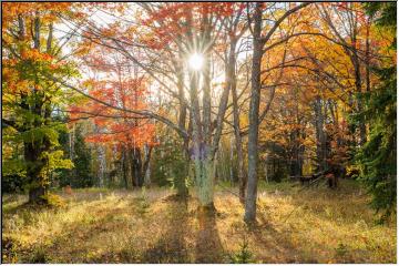 Fall beauty