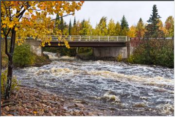 Tobacco River Rapids