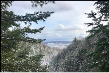 Early snowshoe