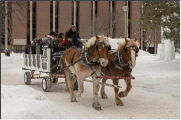 Touring the Snow Statues
