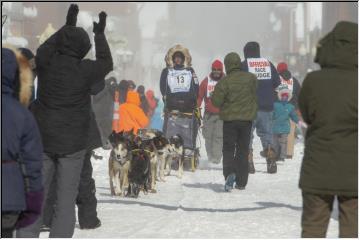 Dog Sled race finish