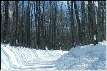 Covered Road one lane