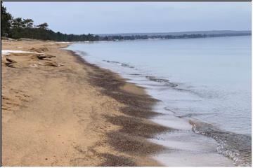 Beach is reappearing