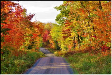 Baraga County colors