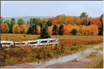 Colors in the Valley