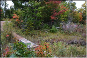 Fall trails