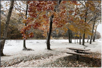 Snowy Fall