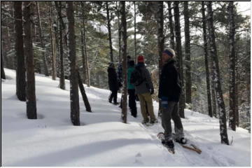 Jacob's Creek snowshoe