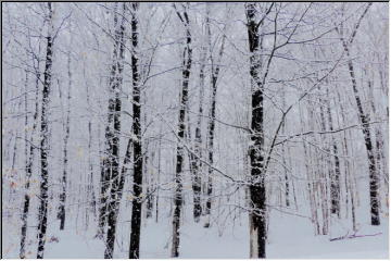 Winter weather again