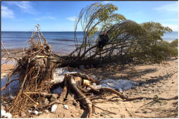 Lake Superior