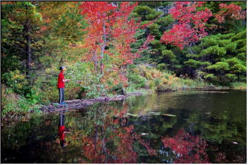 Fall all around