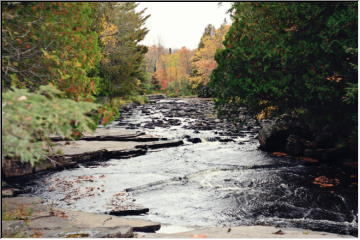 Canyon Falls and Tioga Park