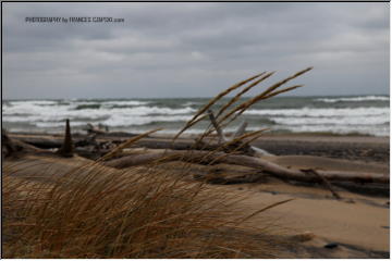 Whitefish Point