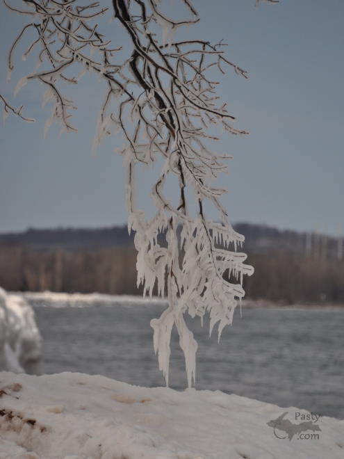 Photo by Laurie Bashaw