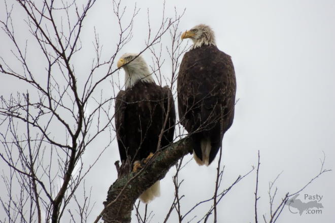 Photo by Jodi Corrigan