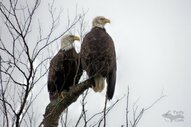 Photo by Jodi Corrigan