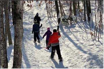 Snowshoeing and sledding