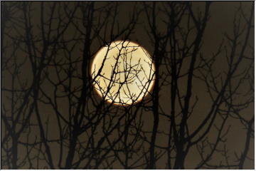Full Moon