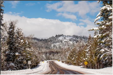 Winter Beauty