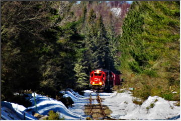 Trains, Bridges and Birds