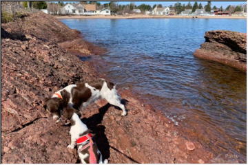 Sally and Ruby in Eagle Harbor