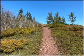 Spring hike