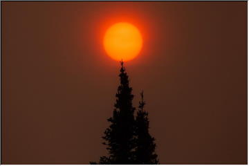 Wildfire sunshots