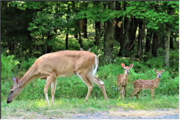 Mothers and kids