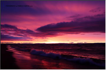 Sunrise variety