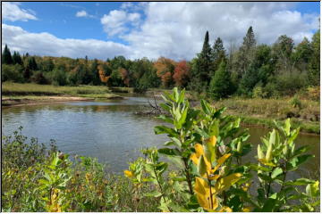 Fall on the route