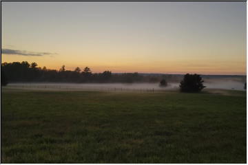 Fog on the Farm