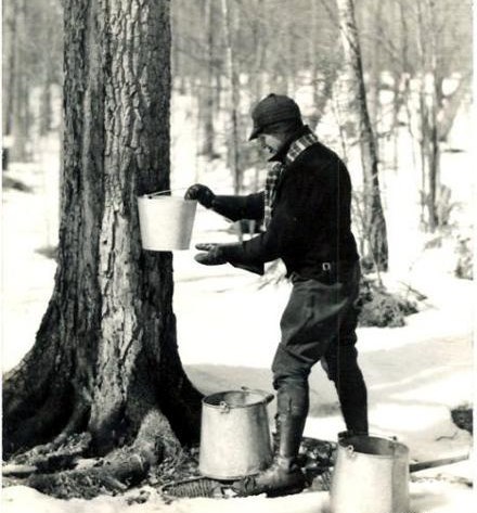 Man with bucket