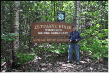 Estivant Pines