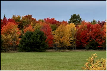 Keweenaw in Color