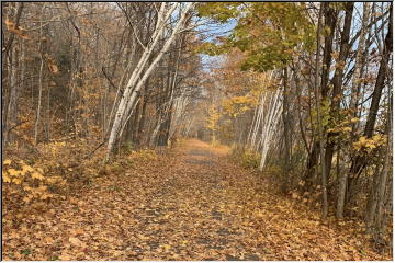 Fall Bike Ride