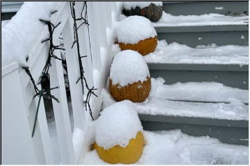Winter Arrives