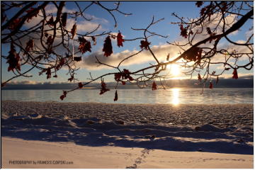 Whitefish Bay Sunrise