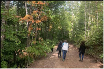 Fall beginning