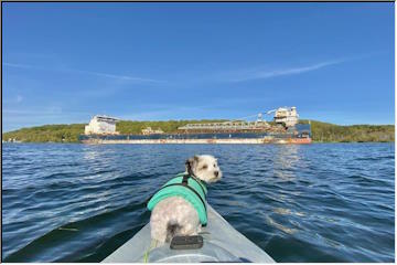 Algoma salt boat arrives
