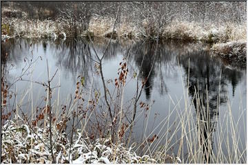 Another Frosty Morning